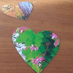 Hearts For Valentines Magnets